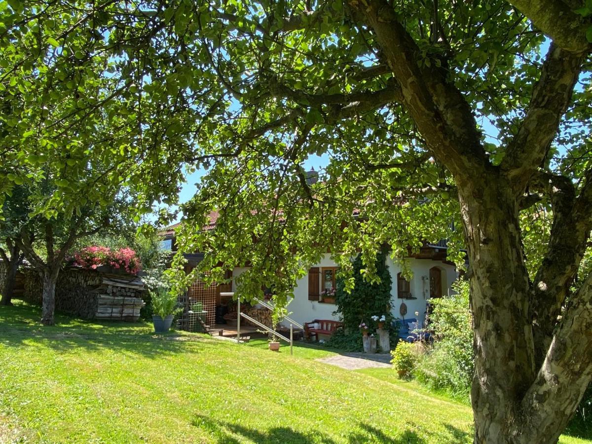 Haus Wiesengrund Фрауенау Екстер'єр фото